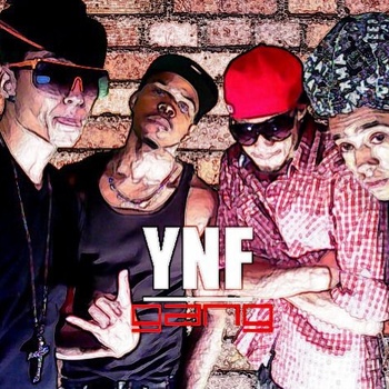 YNF Gang