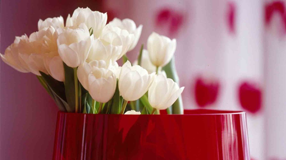 7 Popular Valentine’s Day Gifts