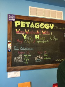 Petagogy Pittsburgh | BuzzNTheBurgh.com