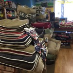 Petagogy Pittsburgh | BuzzNTheBurgh.com