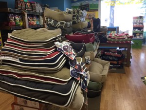 Petagogy Pittsburgh | BuzzNTheBurgh.com