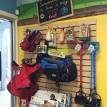 Petagogy Pittsburgh | BuzzNTheBurgh.com