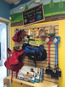 Petagogy Pittsburgh | BuzzNTheBurgh.com