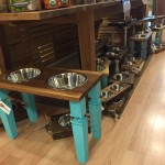 Petagogy Pittsburgh | BuzzNTheBurgh.com