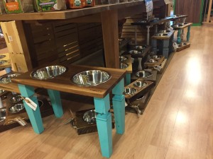 Petagogy Pittsburgh | BuzzNTheBurgh.com