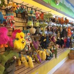 Petagogy Pittsburgh | BuzzNTheBurgh.com