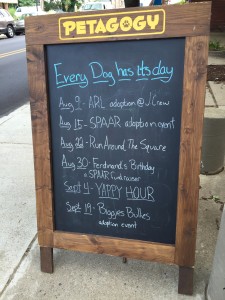 Petagogy Pittsburgh | BuzzNTheBurgh.com