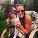 Dakota - Spunky Springer Spaniel