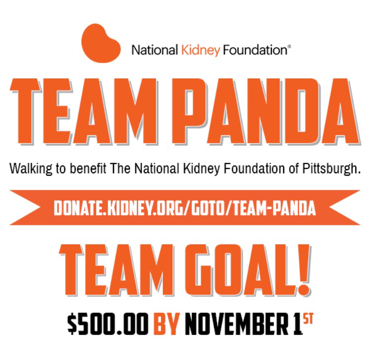 National Kidney Walk 2015
