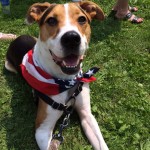 Duncan The Rescue