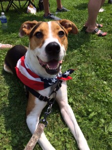 Duncan The Rescue