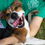 Duncan The Rescue