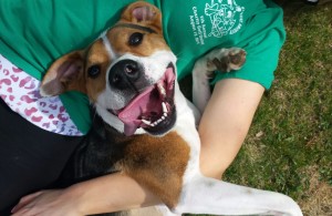 Duncan The Rescue