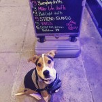 Duncan The Rescue