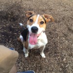 Duncan The Rescue