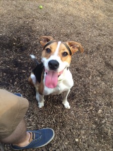 Duncan The Rescue